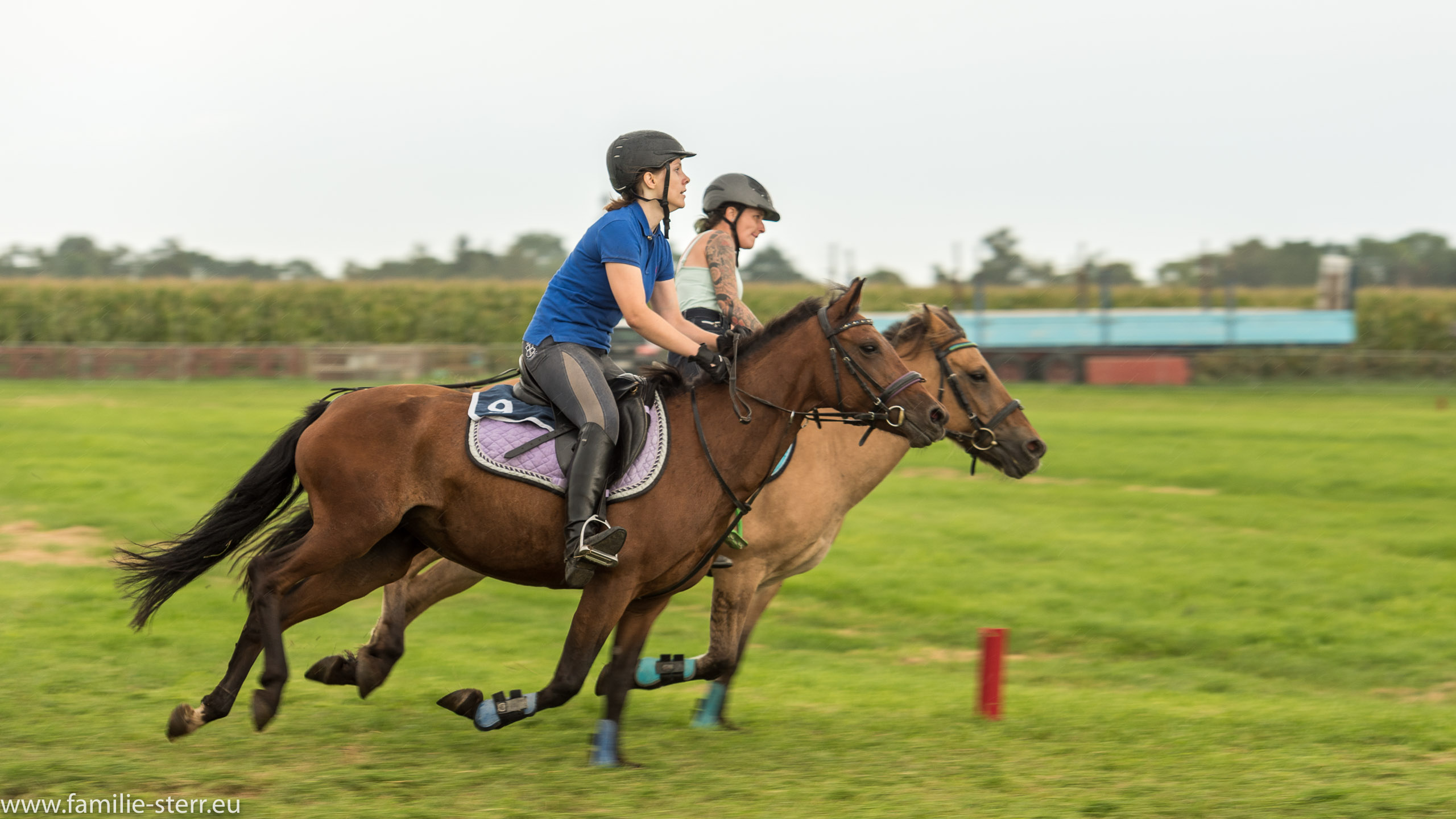 Trabrennen in Erding 2017